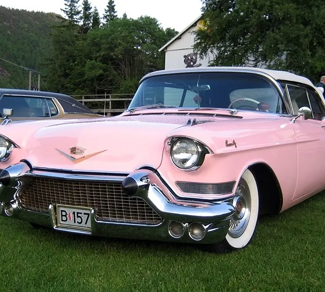 Bilde fra tidligere treff